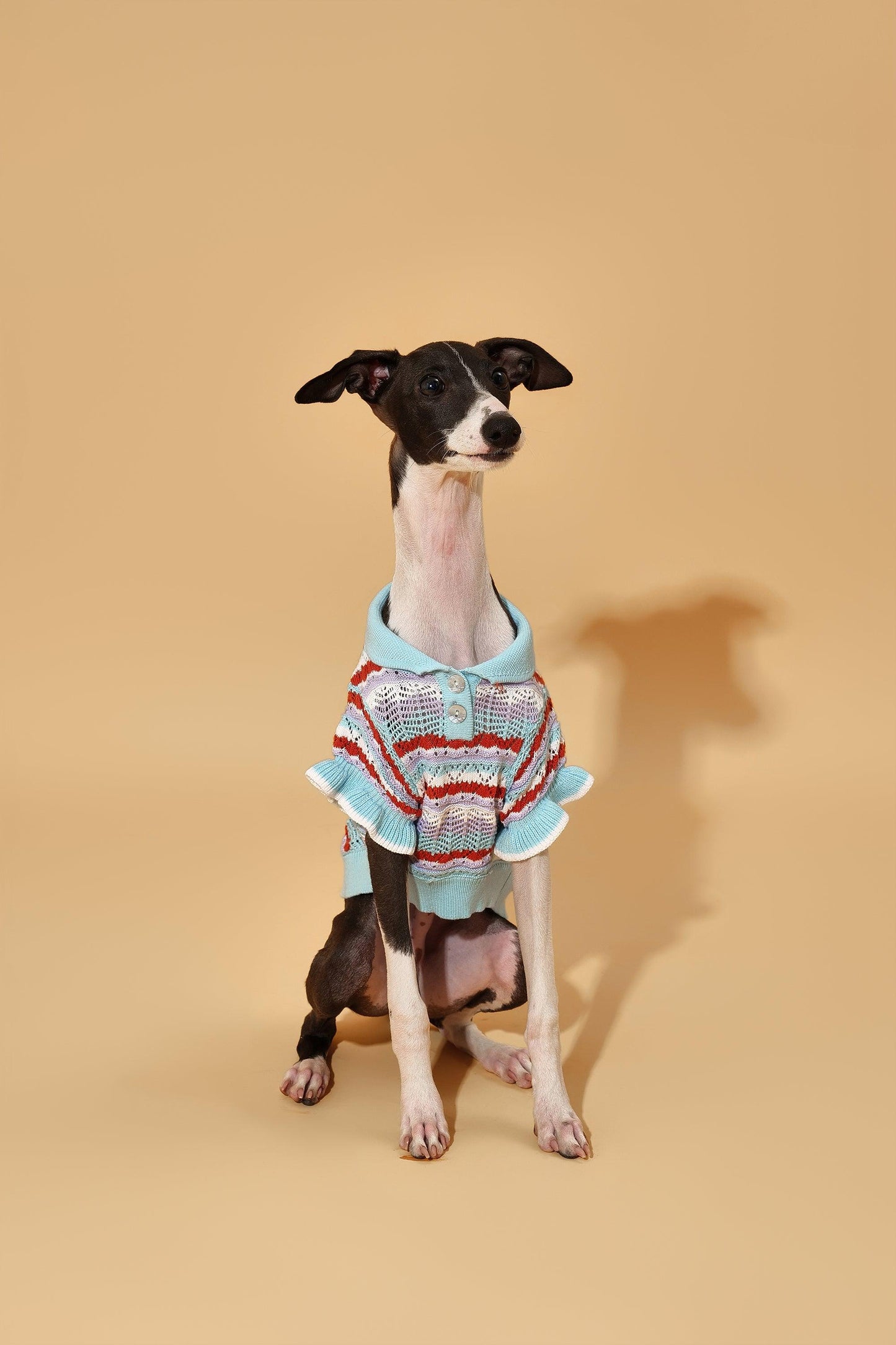 Pet & Me Spring Summer Ocean Blue Ruffle Crochet Short Sleeve Polo Shirt - Dog Bandana - BarkBarkBaby