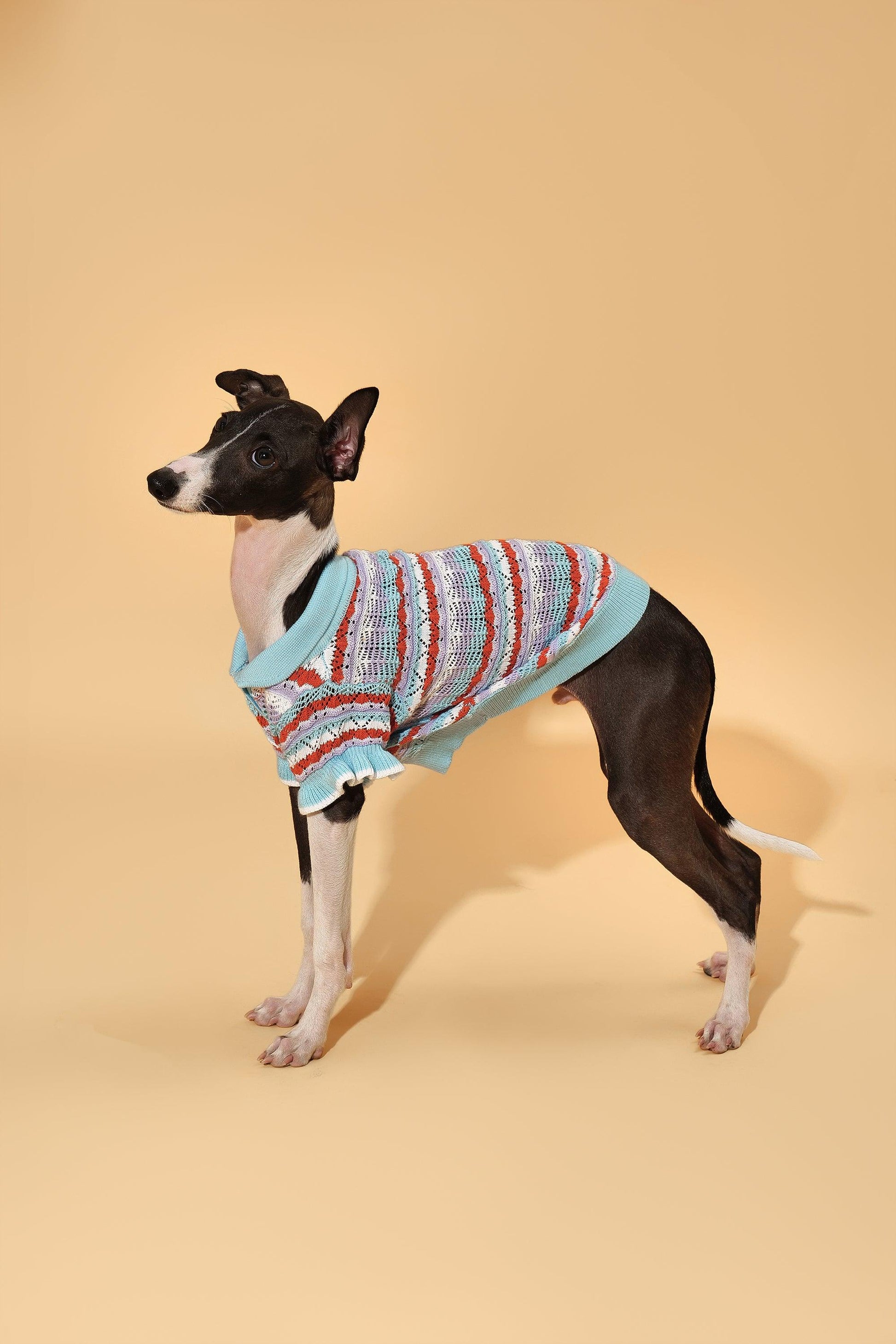 Pet & Me Spring Summer Ocean Blue Ruffle Crochet Short Sleeve Polo Shirt - Dog Bandana - BarkBarkBaby