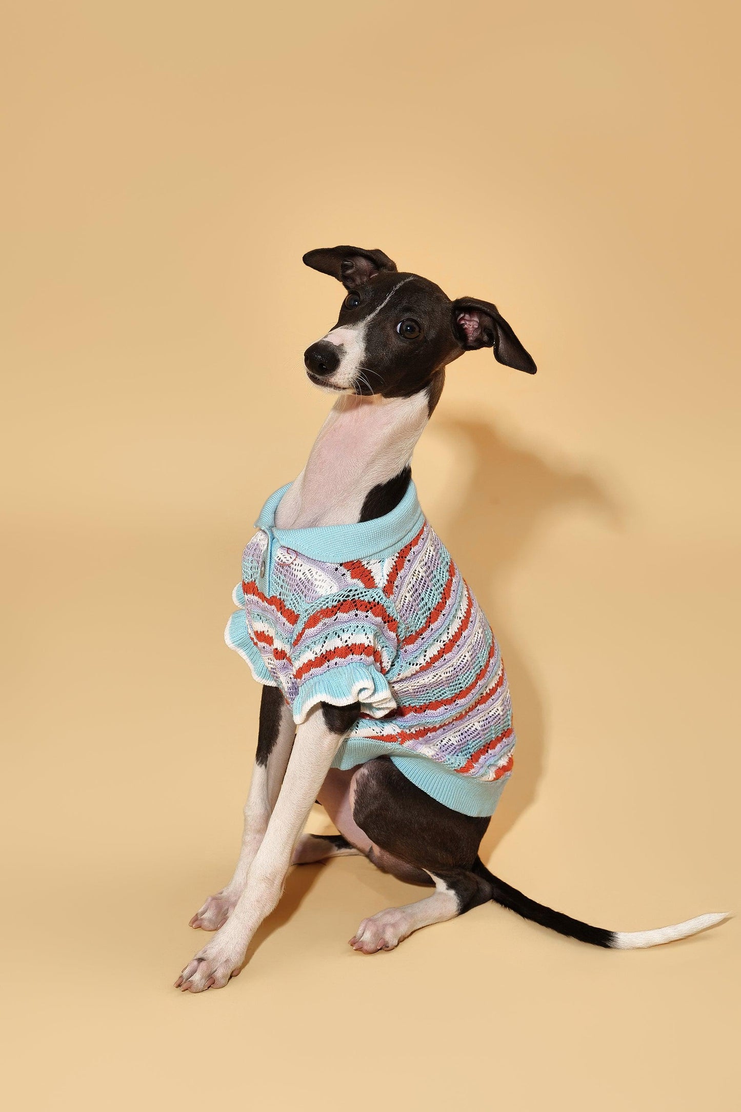 Pet & Me Spring Summer Ocean Blue Ruffle Crochet Short Sleeve Polo Shirt - Dog Bandana - BarkBarkBaby