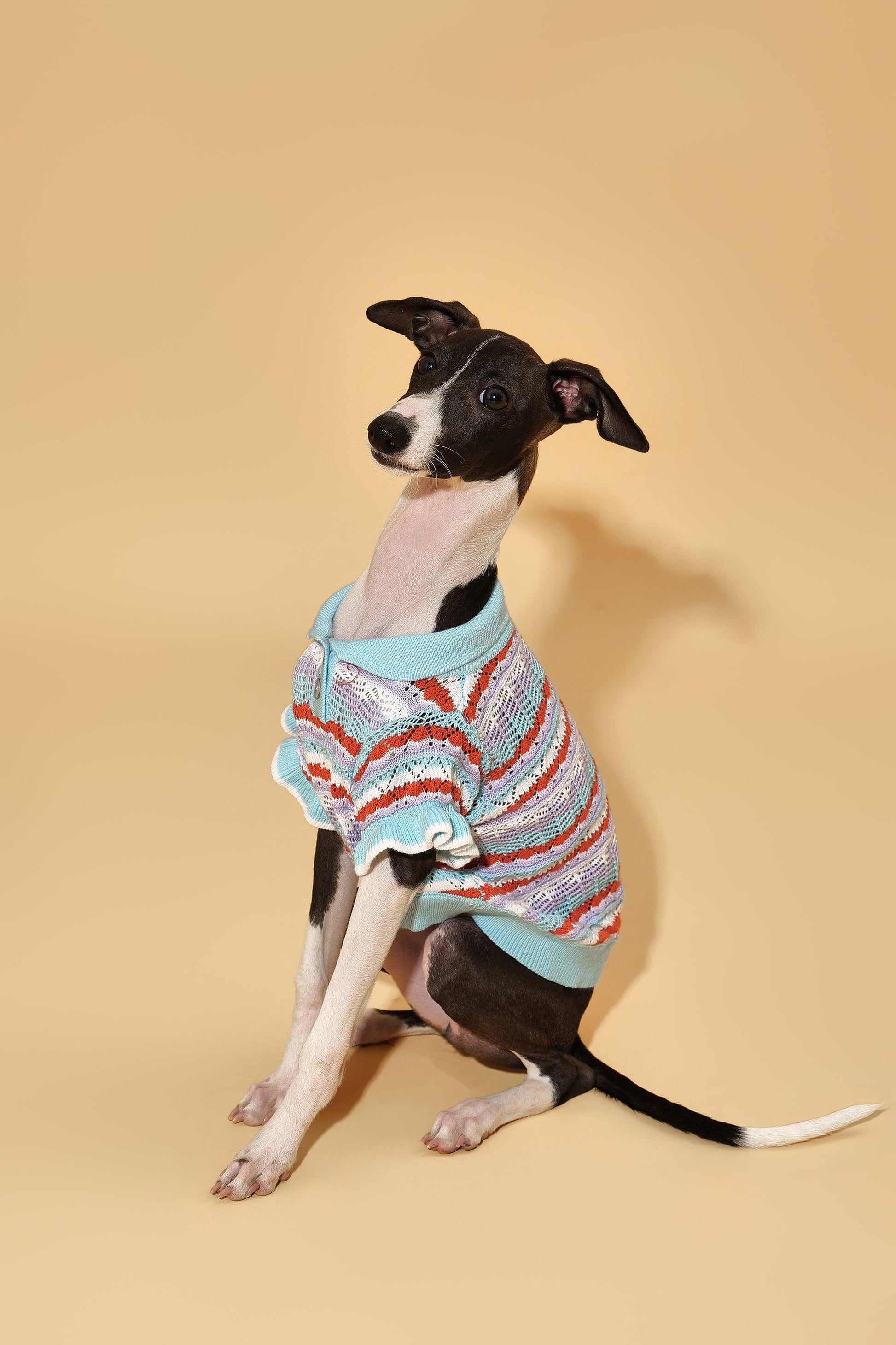 Pet & Me Spring Summer Ocean Blue Ruffle Crochet Short Sleeve Polo Shirt - Dog Bandana - BarkBarkBaby