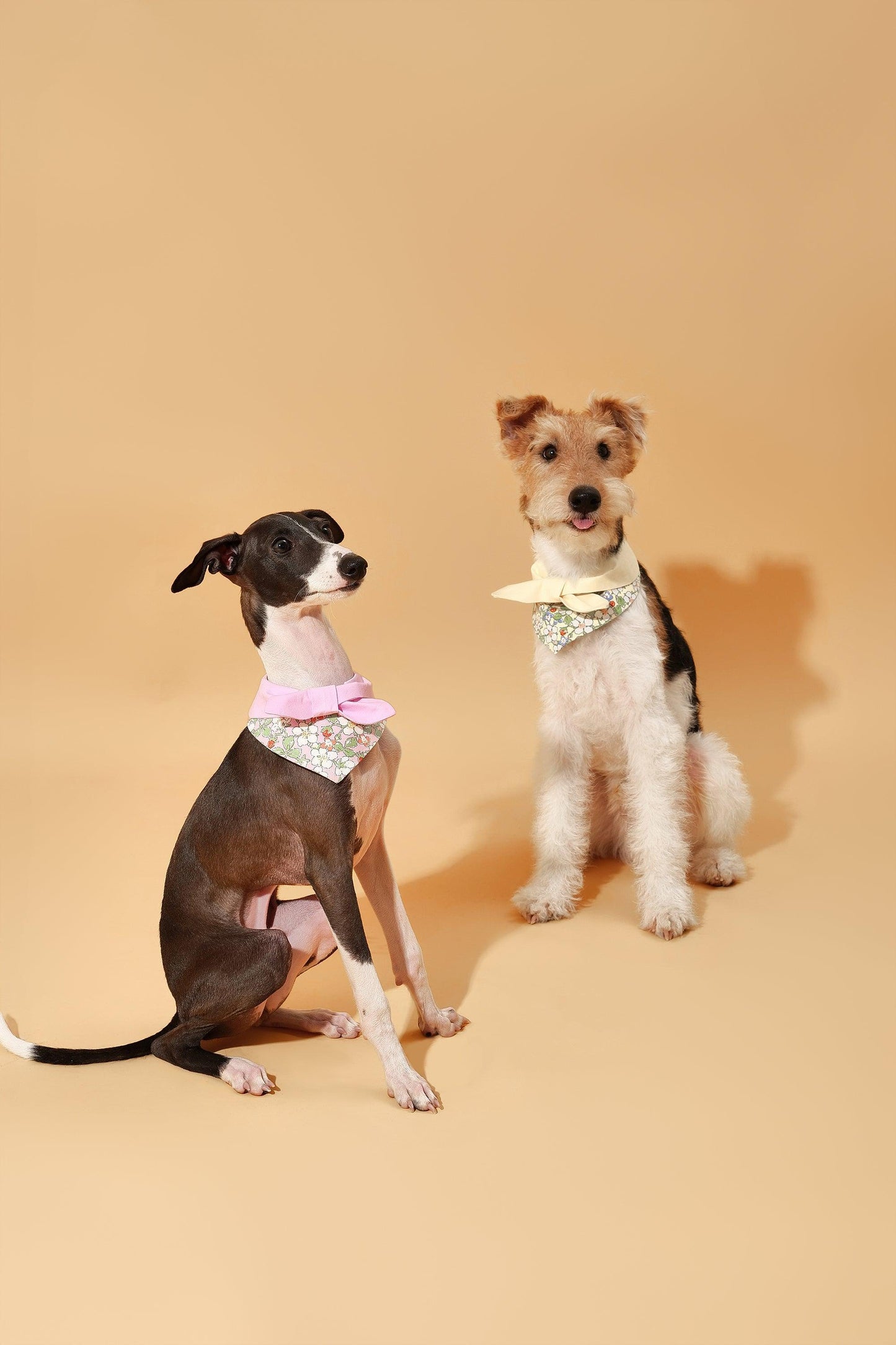 Bowtiful Garden Butter Yellow Floral Bandana - Dog Bandana - BarkBarkBaby