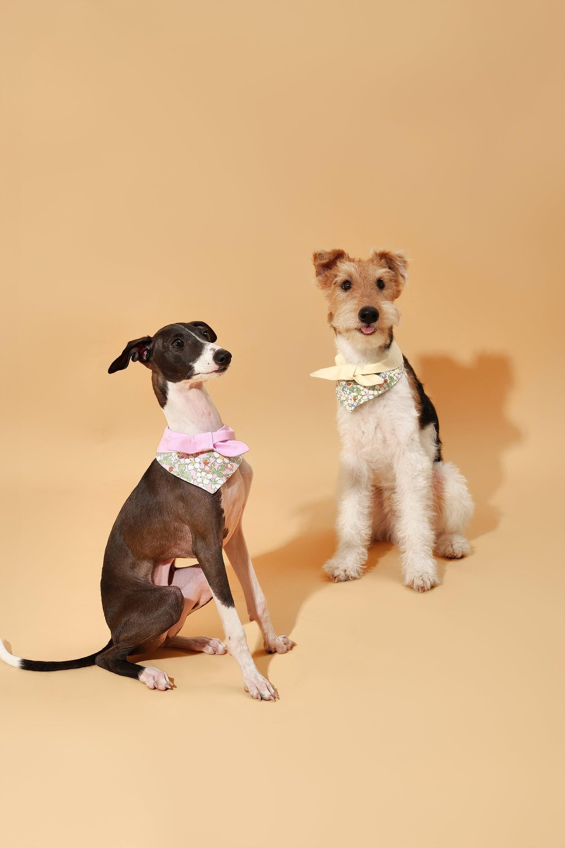 Bowtiful Garden Butter Yellow Floral Bandana - Dog Bandana - BarkBarkBaby