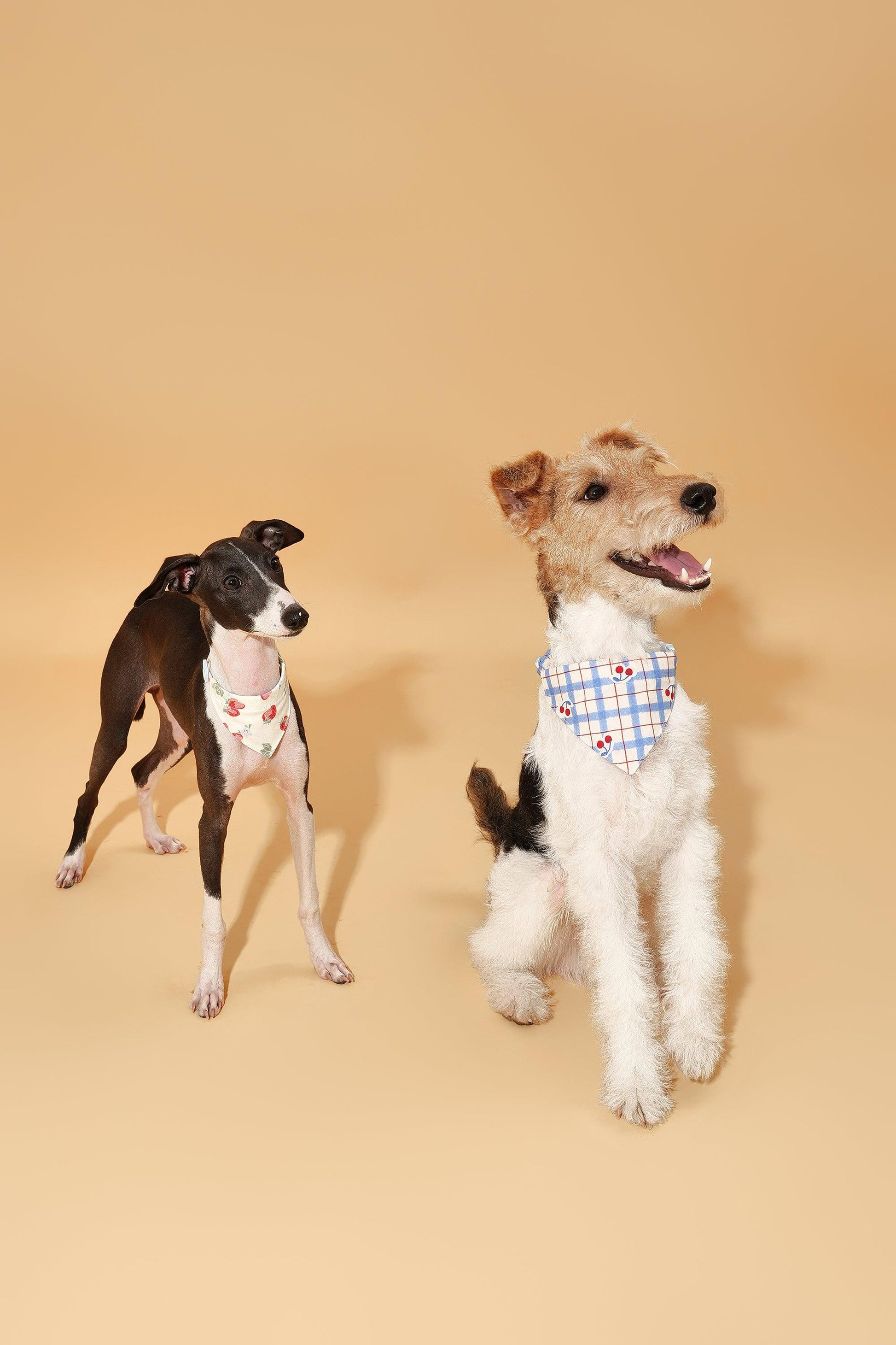 Strawberry Fields Butter Yellow Triangle Bandana - Dog Bandana - BarkBarkBaby