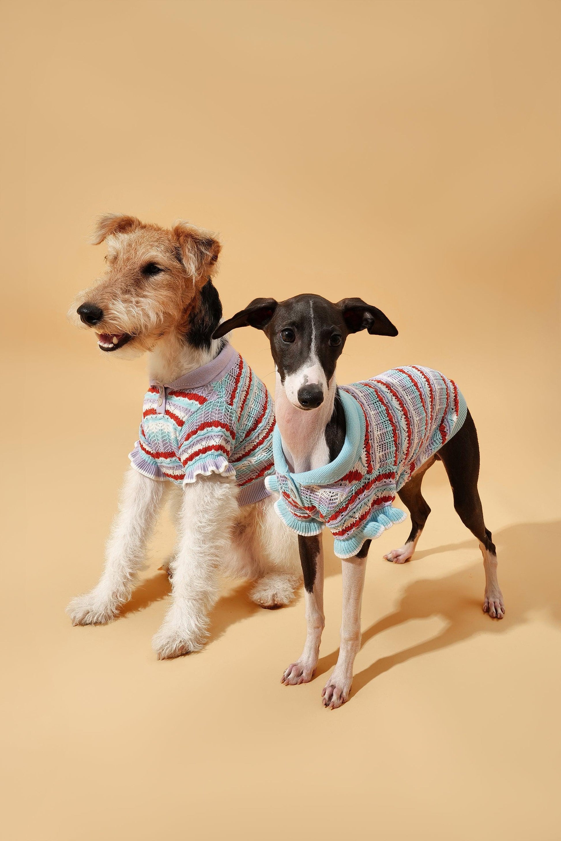 Pet & Me Spring Summer Ocean Blue Ruffle Crochet Short Sleeve Polo Shirt - Dog Bandana - BarkBarkBaby