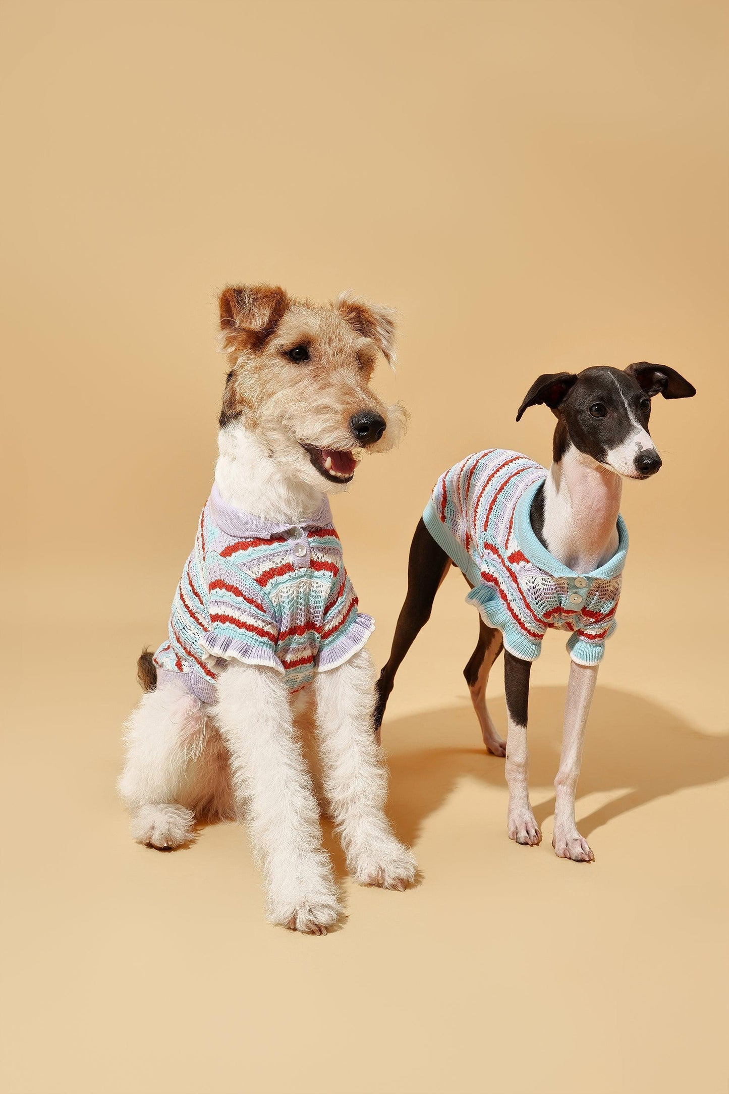 Pet & Me Spring Summer Ocean Blue Ruffle Crochet Short Sleeve Polo Shirt - Dog Bandana - BarkBarkBaby