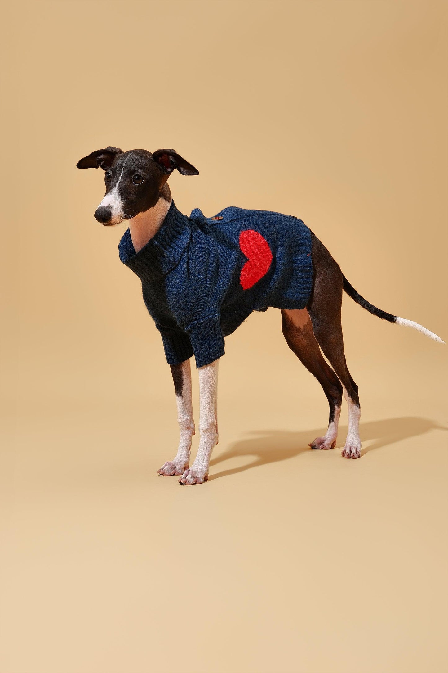 Heart to Heart Button - Up Cardigan Sweater - Dog Sweater - BarkBarkBaby