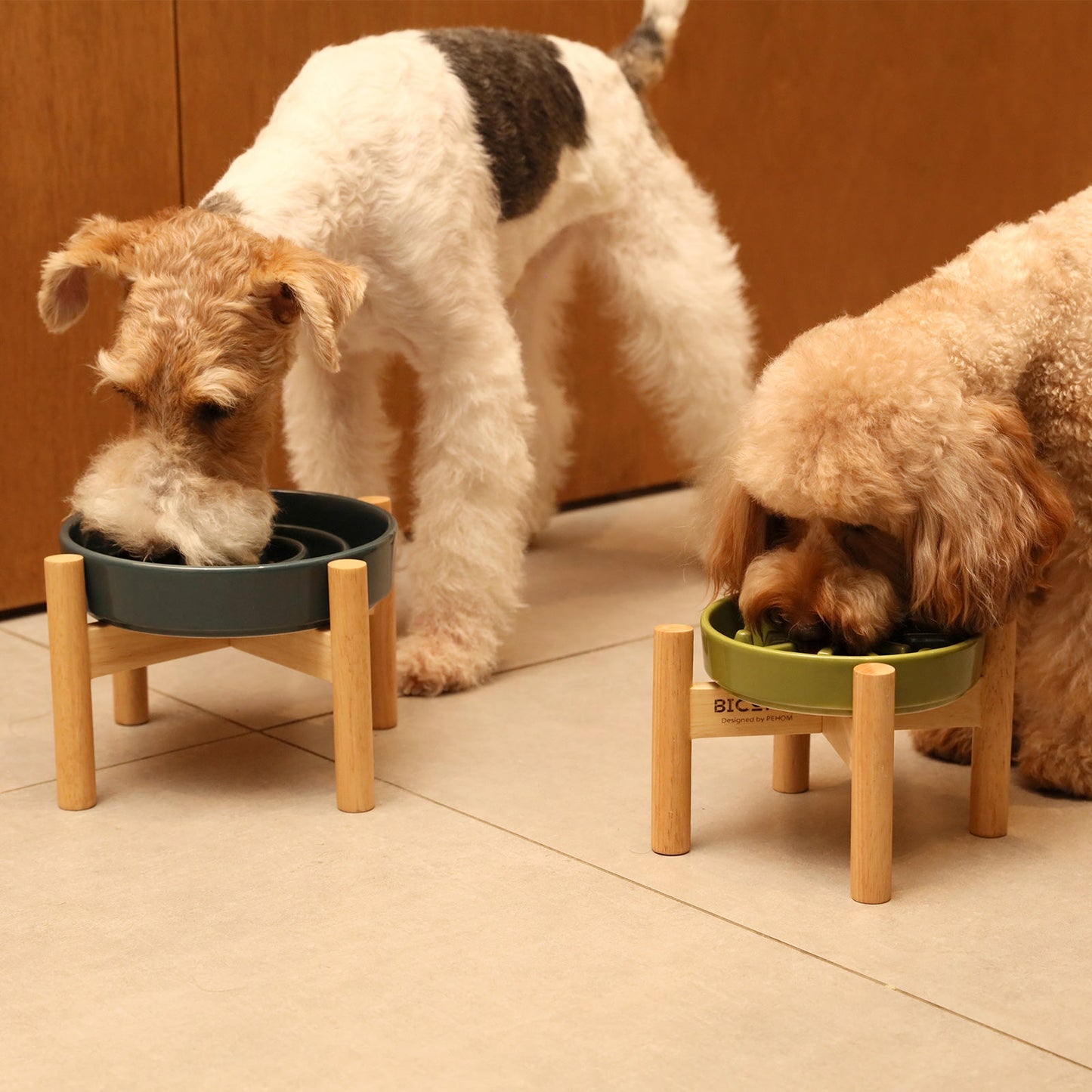 Purrfect Kingdom™ - Essential Daily Pet Feeding Bowl