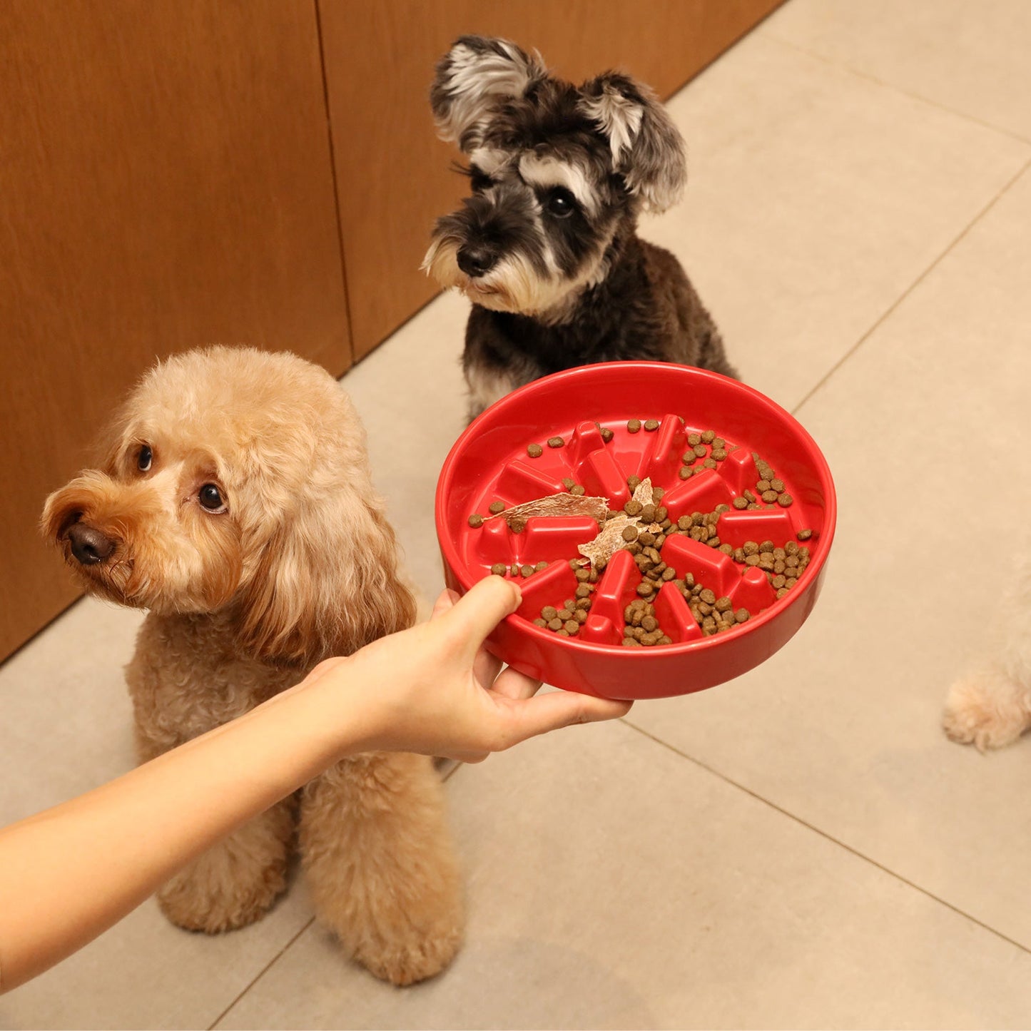 Purrfect Kingdom™ - Wave Pet Slow Feeder Bowl Set