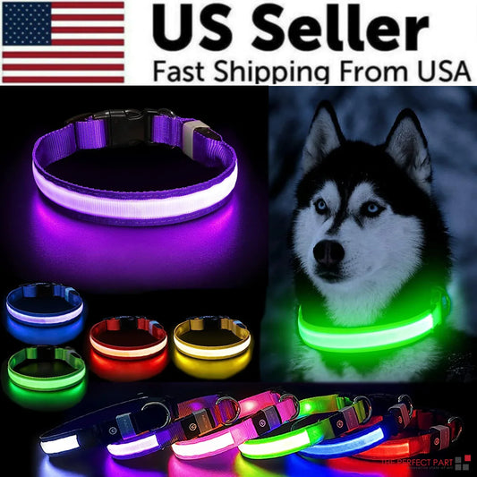 Royal Luminous Safety Pet Collar Adjustable LED Night Visibility 💡👑
