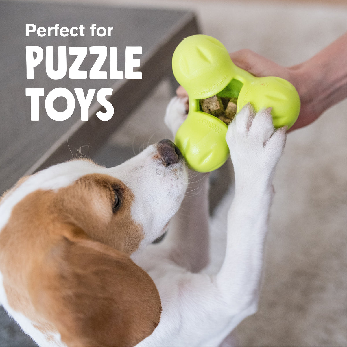 Dog Treats Beef Heart Natural Protein Reward Chews - lifestyle view