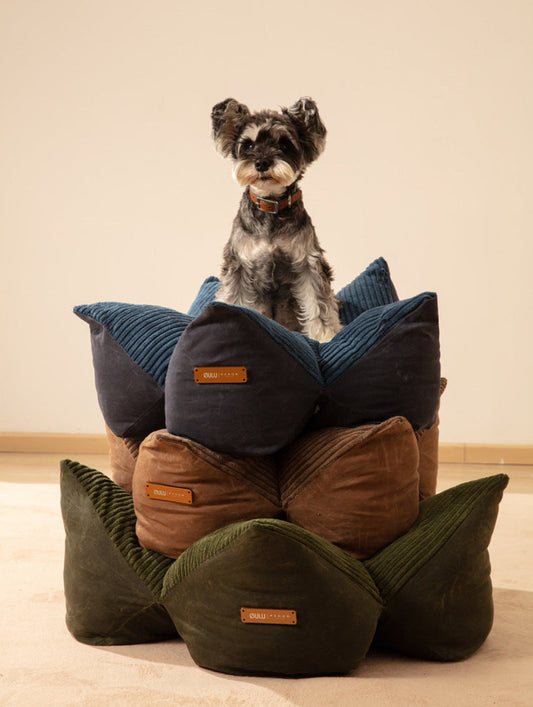 Purrfect Kingdom™ - Dog Beds Adjustable Blue