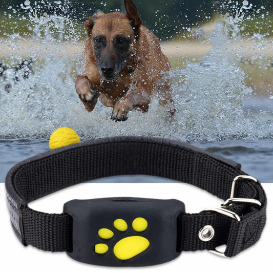 Pet GPS Tracker Collar - Pet GPS Tracking Collar - Mimarta