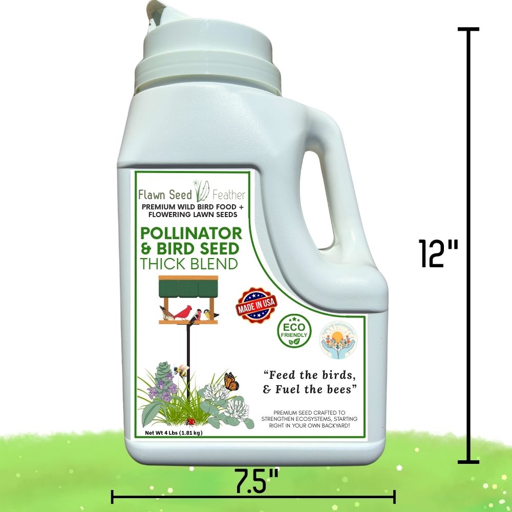 Pollinator & Wild Bird Seed Thick Bee Lawn Blend