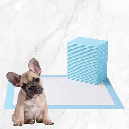 Premium Absorbent Training Pads for Small Puppies 50 Count