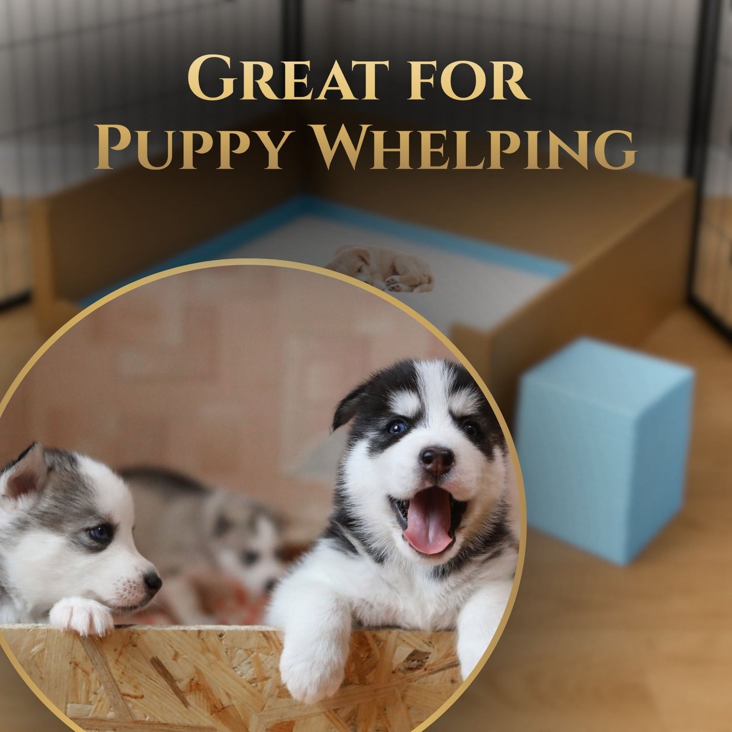 Puppy Pads | Absorbent Pee Pads - Pee Mats - Wasatch Pup