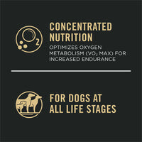 Pro Plan All Ages Sport Performance 30/20 Salmon & Rice Formula Dry Dog Food