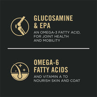 Pro Plan All Ages Sport Performance 30/20 Salmon & Rice Formula Dry Dog Food