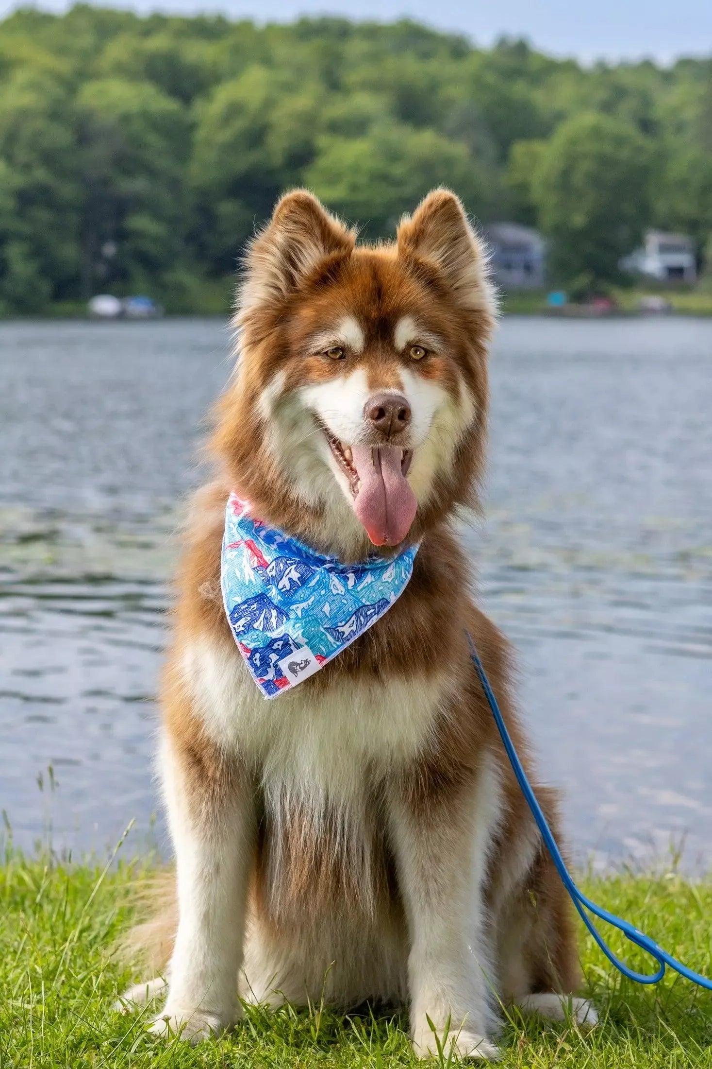 Painted Peaks Dog Bandana - Purrfect Pet Kingdom