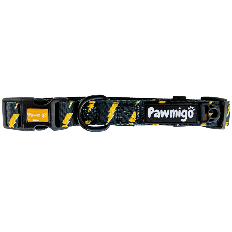 Pawgwarts Classic Collar - Dog Harnesses - Pawmigo