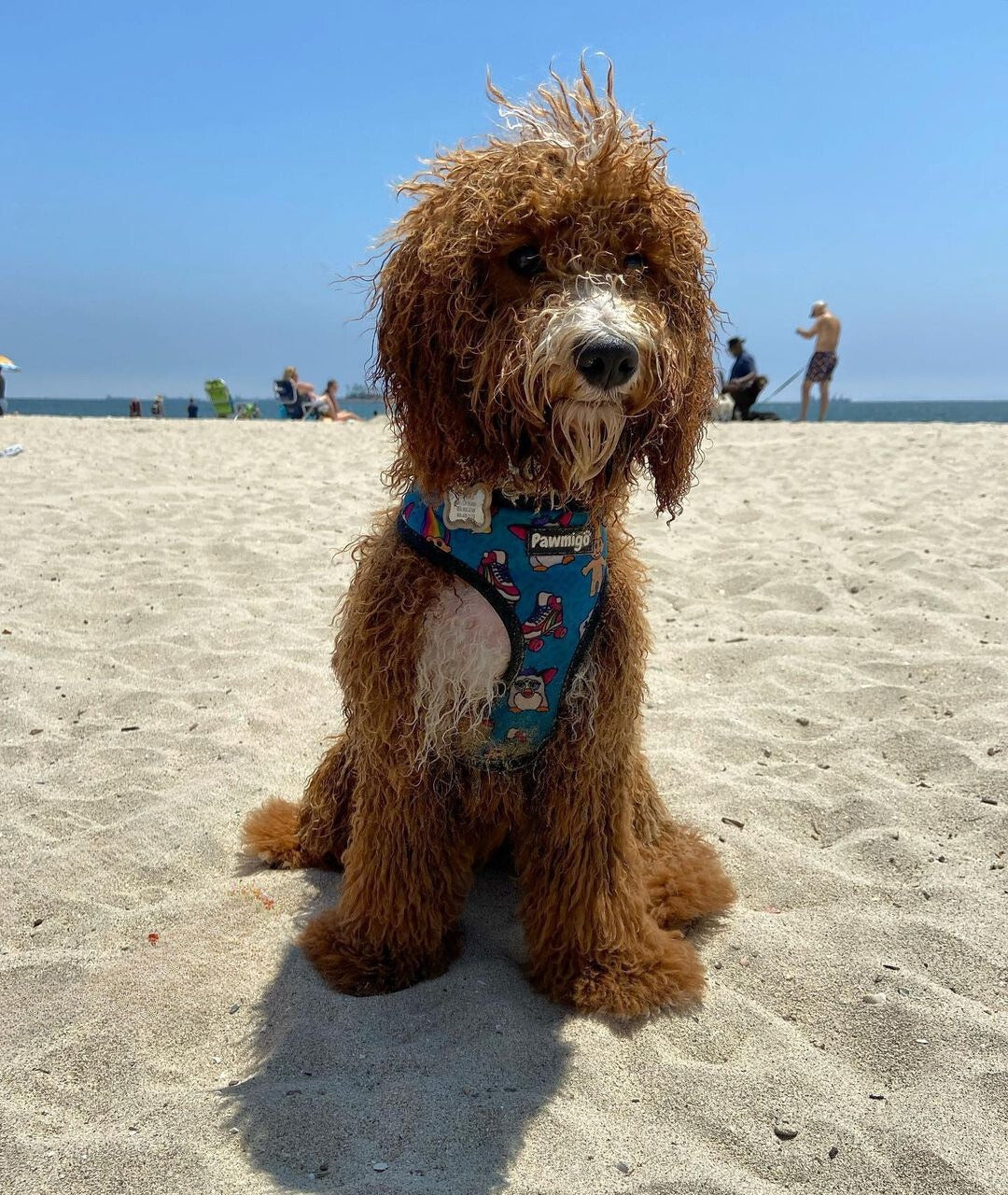 90s Baby Reversible Harness - Reversible Harness - Pawmigo