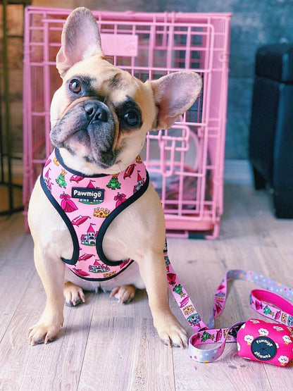 Fairytail Dog Leash and Poop Bag Holder Set for Adventurers