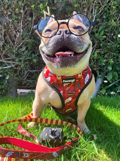 Magical School Wizardry Pattern Pet Leash and Accessory Kit