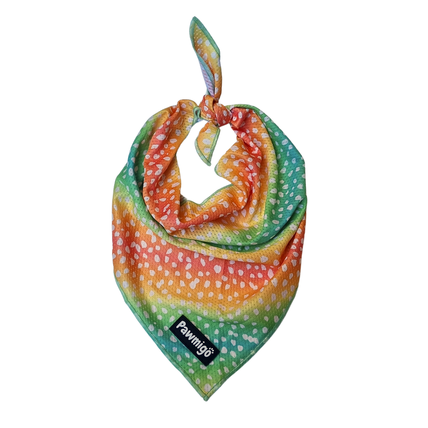Chasing Rainbows Cooling Bandana - Dog Bandana - Pawmigo