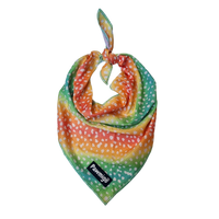 Chasing Rainbows Cooling Bandana