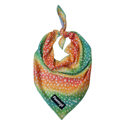 Chasing Rainbows Cooling Bandana - Dog Bandana - Pawmigo