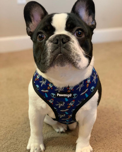 Extra-Furrestrial Reversible Dog Harness for Small to Medium