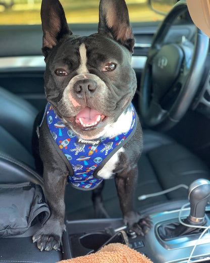Reversible blue space-themed dog harness with aliens and UFOs on a black and white French Bulldog.