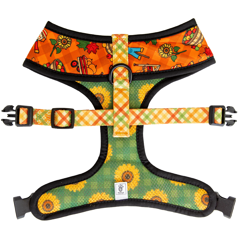 Pupkin Patch Reversible Harness - Reversible Harness - Pawmigo