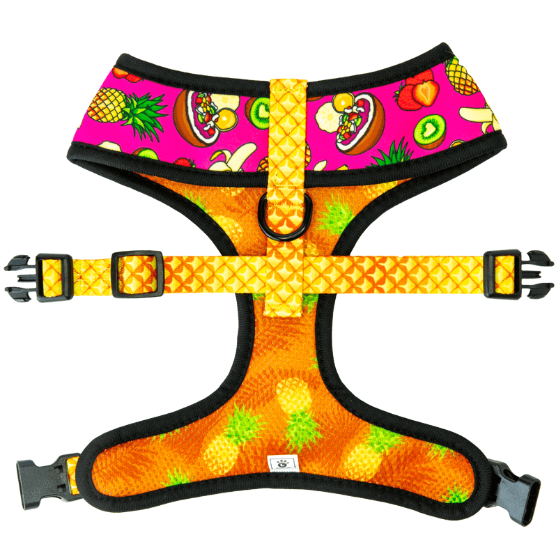 Snack Shack Reversible Harness - Dog Harnesses - Pawmigo