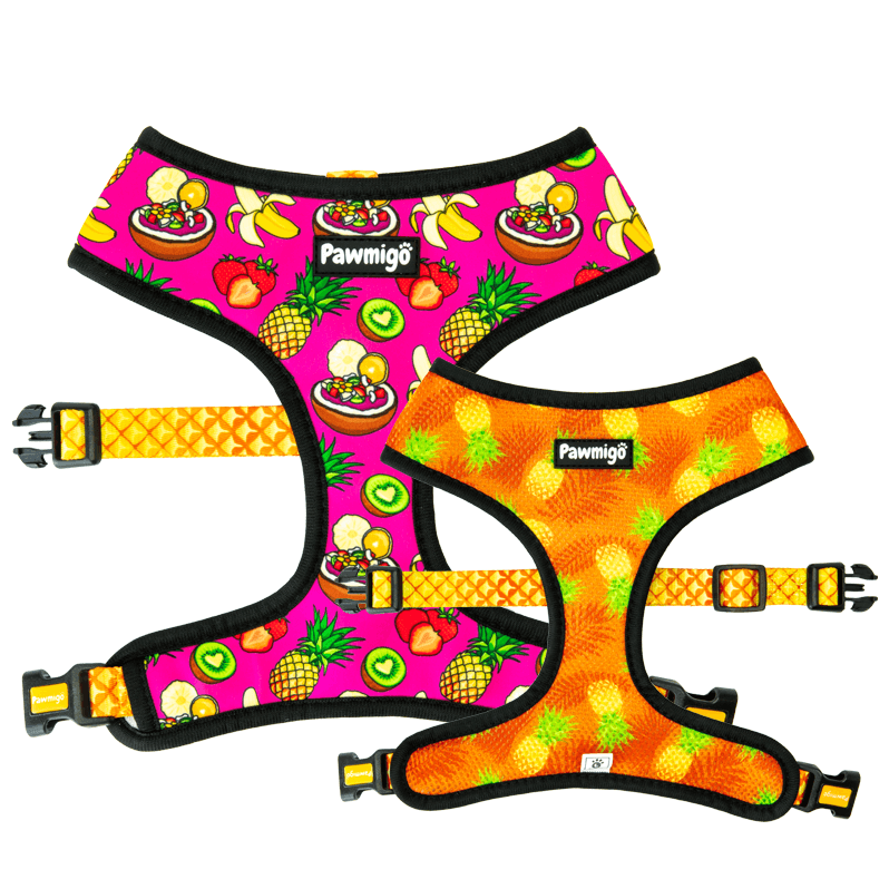 Snack Shack Reversible Harness - Dog Harnesses - Pawmigo - XS - SU19 - SSK - RH - XS