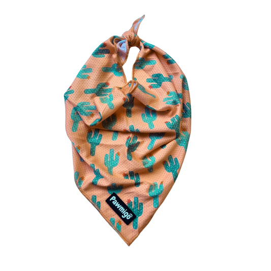 Succa For You Cooling Bandana - Dog Bandana - Pawmigo