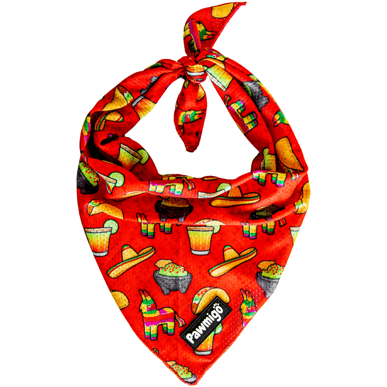 Taco Tuesday Cooling Bandana - Dog Bandana - Pawmigo
