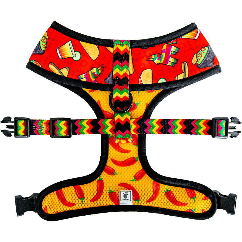 Taco Tuesday Reversible Harness - Reversible Harness - Pawmigo