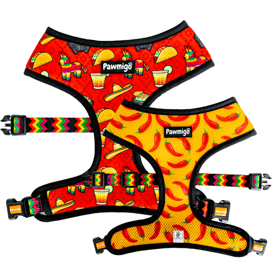 Taco Tuesday Reversible Harness - Reversible Harness - Pawmigo - XS - WI19 - TTD - RH - XS