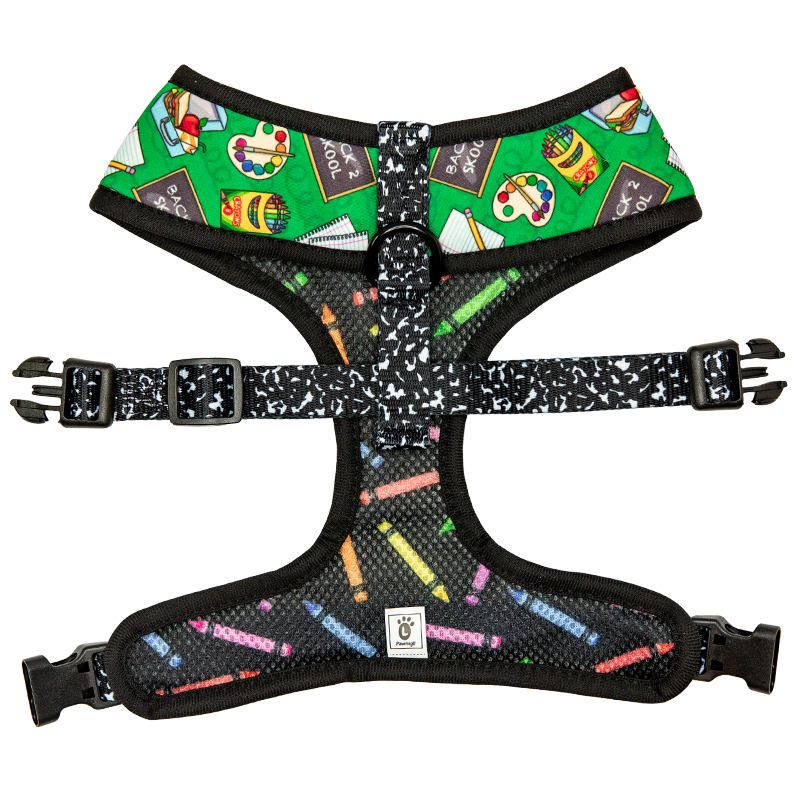 Teacher's Pet Reversible Harness - Reversible Harness - Pawmigo