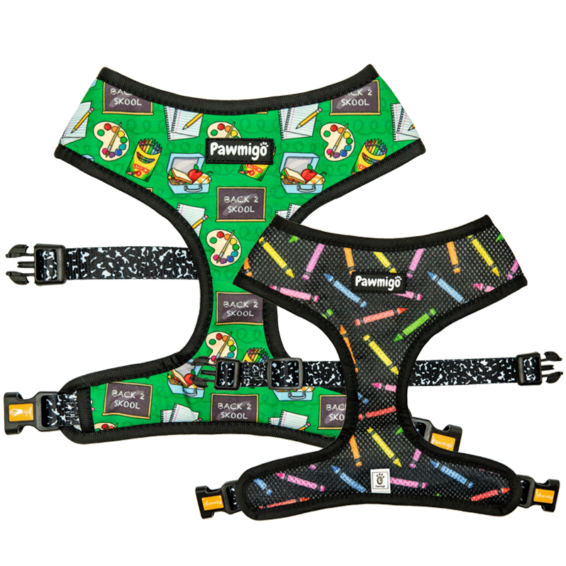 Teacher's Pet Reversible Harness - Reversible Harness - Pawmigo - XS - FA19 - TCP - RH - XS