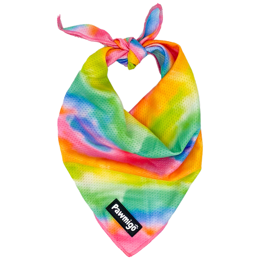 Tie - Dye For Cooling Bandana - Dog Bandana - Pawmigo