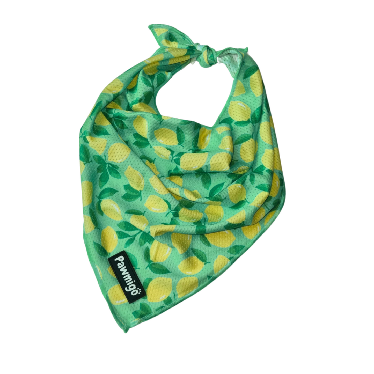 Worth The Squeeze Cooling Bandana - Dog Bandana - Pawmigo