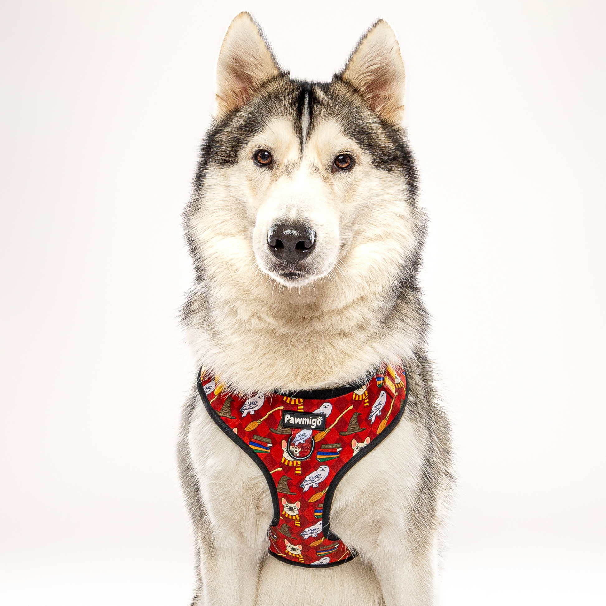 Pawgwarts Everyday Adjustable No - Pull Dog Harness - Dog Harnesses - Pawmigo