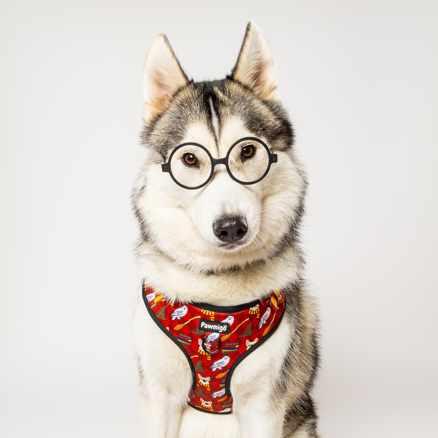 Pawgwarts Everyday Adjustable No - Pull Dog Harness - Dog Harnesses - Pawmigo