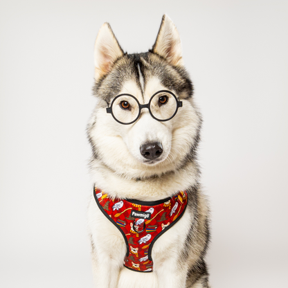 Purrfect Pet Kingdom Pawgwarts Everyday Adjustable No-Pull Dog Harness (M) - Premium Dog Harnesses