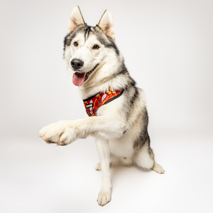 Pawgwarts Adjustable No-Pull Dog Harness Durable Neoprene Gear