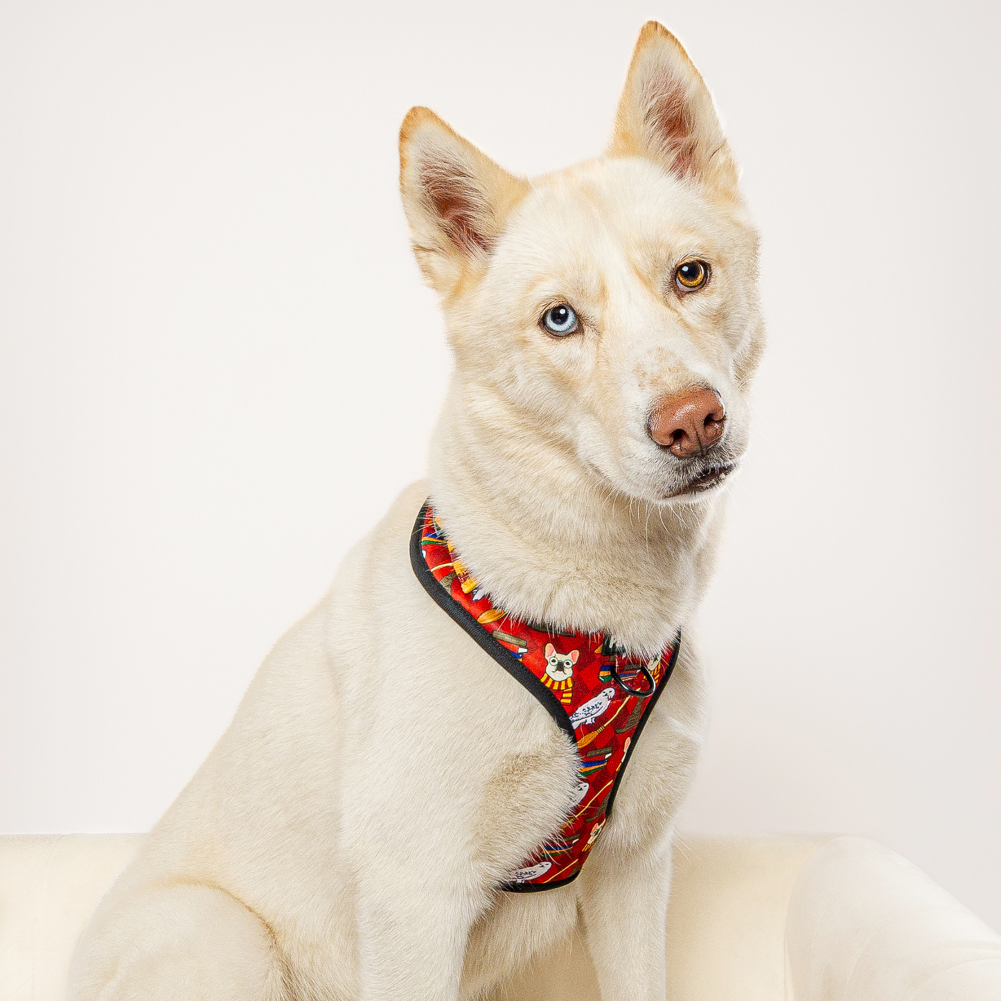 Pawgwarts Everyday Adjustable No - Pull Dog Harness - Dog Harnesses - Pawmigo