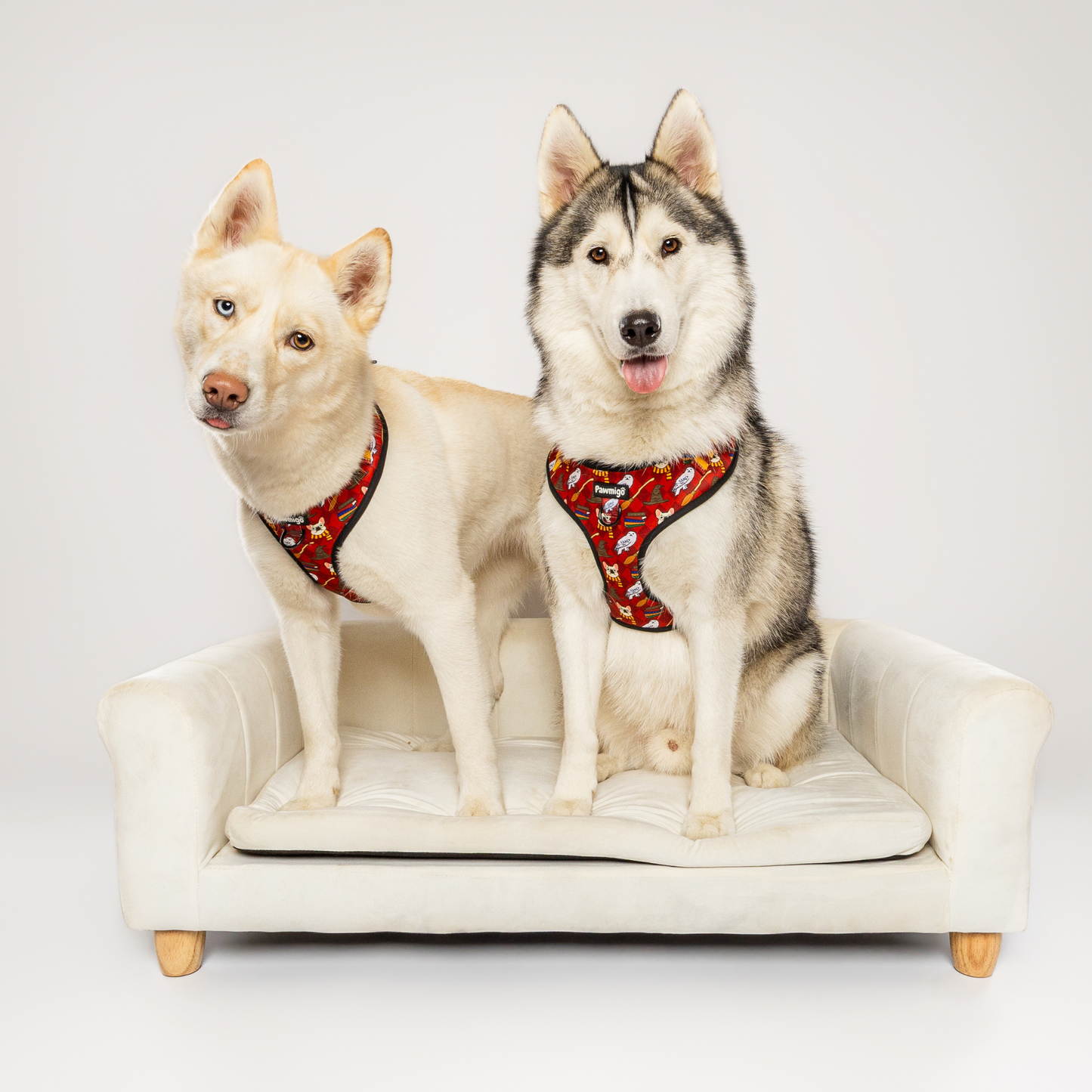 Pawgwarts Everyday Adjustable No - Pull Dog Harness - Dog Harnesses - Pawmigo