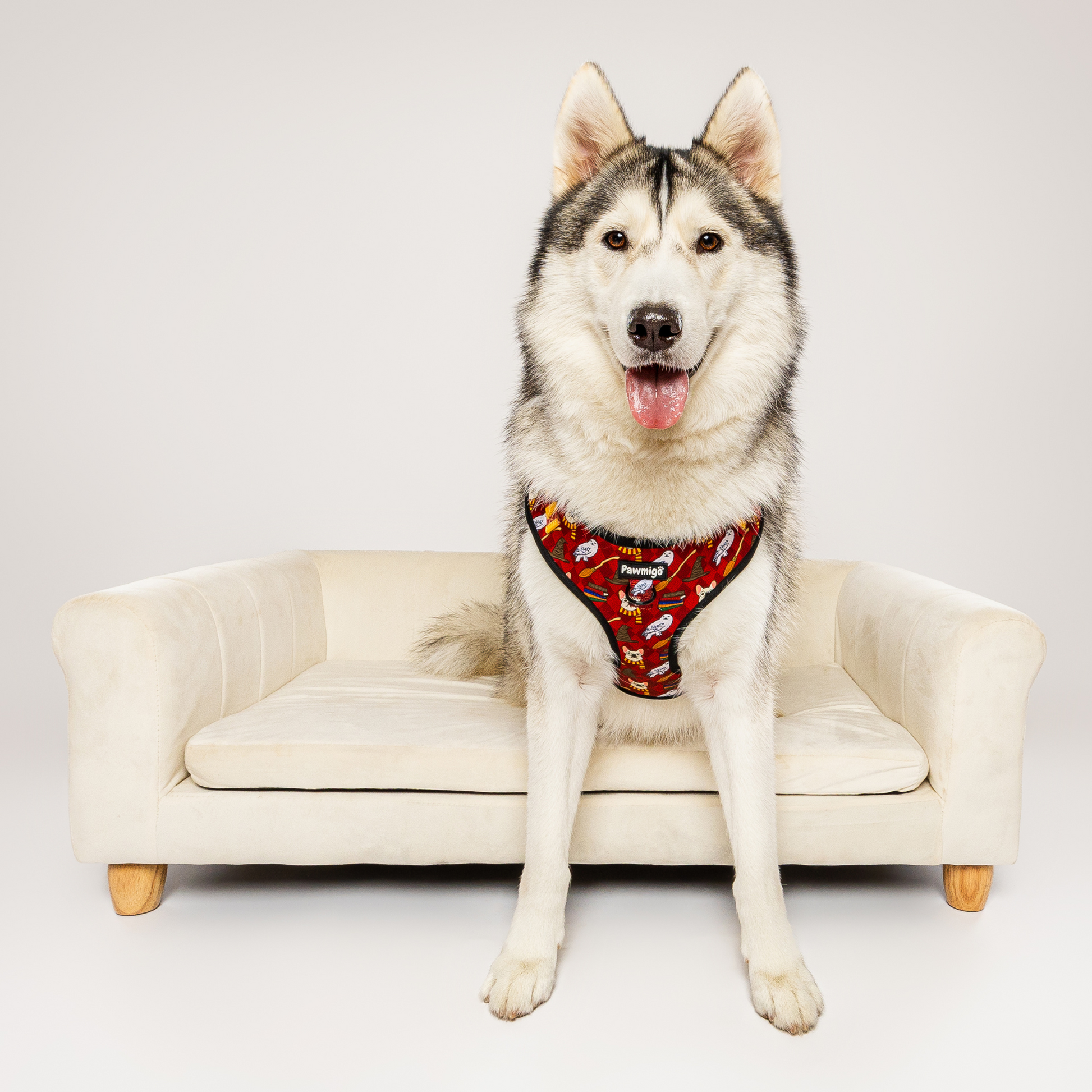 Pawgwarts Everyday Adjustable No - Pull Dog Harness - Dog Harnesses - Pawmigo