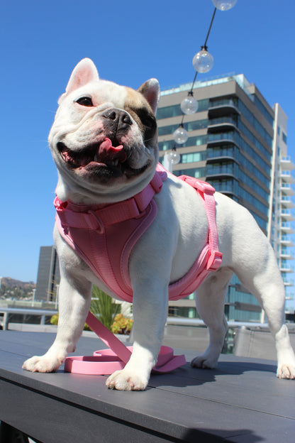 Floral Hibiscus Luxe Adjustable Dog Harness Vest Size Medium